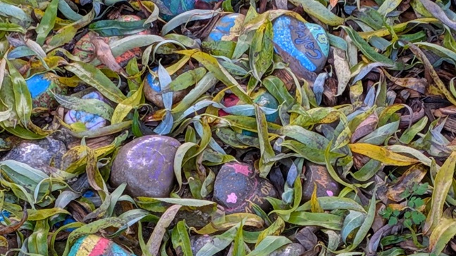 image from Stadtteilrundgang Gaarden - Soziale Straßenführung durch Gaarden